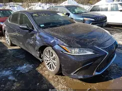 58ABZ1B17KU050372 2019 LEXUS ES