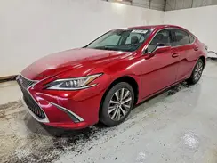 58ABZ1B18KU013900 2019 LEXUS ES