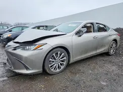 58ABZ1B18KU046833 2019 LEXUS ES