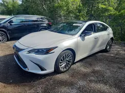 58ABZ1B19KU006521 2019 LEXUS ES