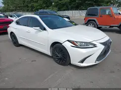 58ABZ1B19KU012402 2019 LEXUS ES