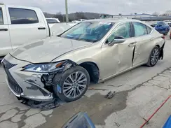 58ABZ1B1XKU007886 2019 LEXUS ES