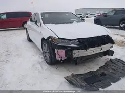58ABZ1B1XKU009427 2019 LEXUS ES