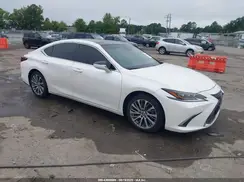 58ABZ1B1XKU010884 2019 LEXUS ES