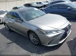 58ABZ1B1XKU024302 2019 LEXUS ES