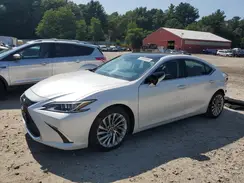 58ABZ1B1XKU028012 2019 LEXUS ES