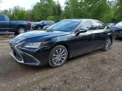 58ABZ1B1XKU032528 2019 LEXUS ES