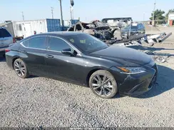 58ABZ1B1XKU034778 2019 LEXUS ES