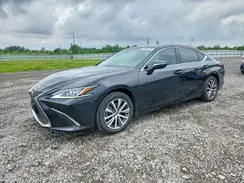 58ABZ1B1XKU037633 2019 LEXUS ES