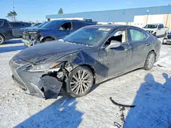 58AD11D17MU006386 2021 LEXUS ES