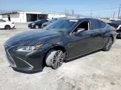 58ADA1C10RU049346 2024 LEXUS ES