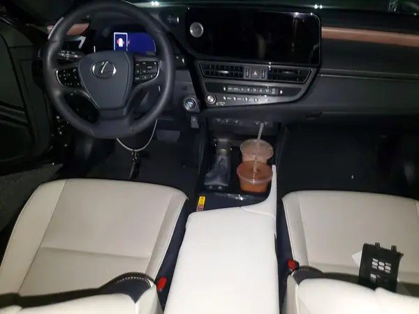 58ADA1C10SU061034 2025 LEXUS ES - Image 8