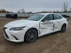 58ADA1C11RU037528 2024 LEXUS ES