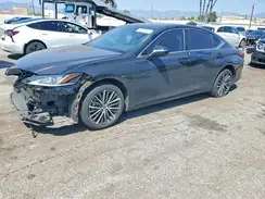58ADA1C11SU058434 2025 LEXUS ES