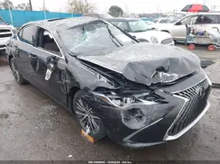 58ADA1C12SU057275 2025 LEXUS ES