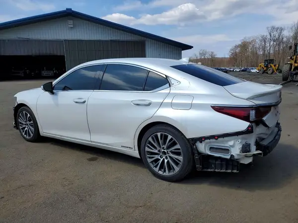 58ADA1C13MU007696 2021 LEXUS ES - Image 2