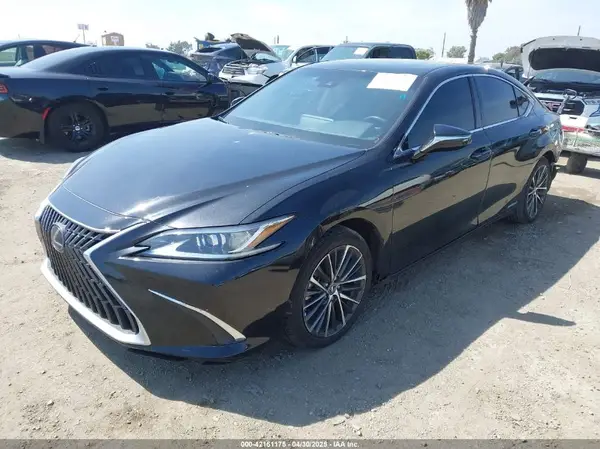 58ADA1C13NU013399 2022 LEXUS ES - Image 2