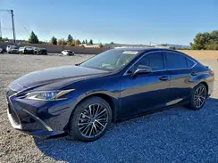 58ADA1C13RU052564 2024 LEXUS ES