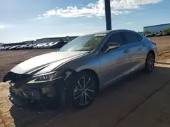 58ADA1C13SU054370 2025 LEXUS ES