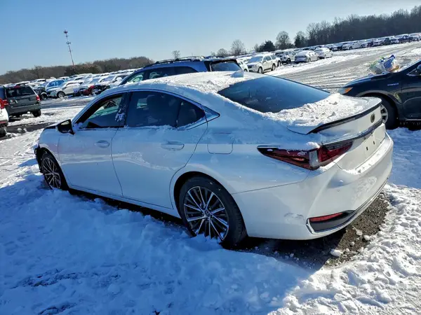 58ADA1C14PU027928 2023 LEXUS ES - Image 2
