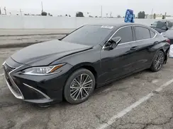 58ADA1C14RU046742 2024 LEXUS ES