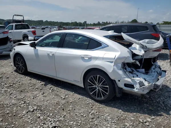 58ADA1C15NU023657 2022 LEXUS ES - Image 2