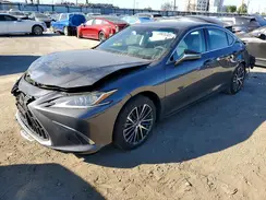 58ADA1C15RU043283 2024 LEXUS ES