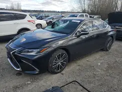 58ADA1C16RU037962 2024 LEXUS ES