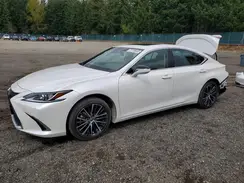 58ADA1C17RU040918 2024 LEXUS ES