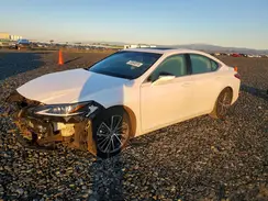 58ADA1C17RU050767 2024 LEXUS ES