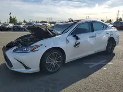 58ADA1C18RU038756 2024 LEXUS ES