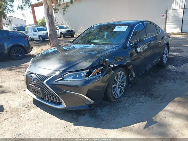 58ADA1C19MU001465 2021 LEXUS ES - Image 2