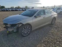 58ADA1C1XMU006528 2021 LEXUS ES