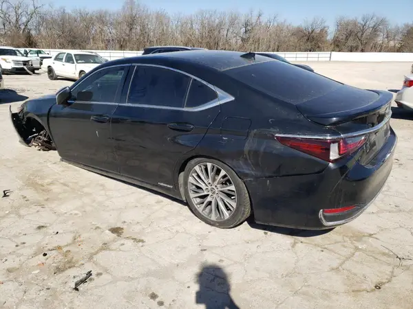 58ADA1C1XMU007534 2021 LEXUS ES - Image 2