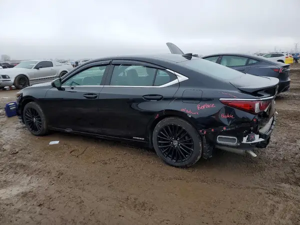 58ADA1C1XNU023458 2022 LEXUS ES - Image 2