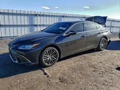58ADA1C1XPU033653 2023 LEXUS ES