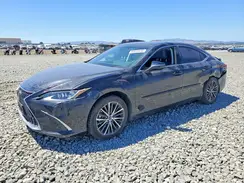 58ADA1C1XPU036892 2023 LEXUS ES