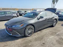 58ADA1C1XRU042629 2024 LEXUS ES
