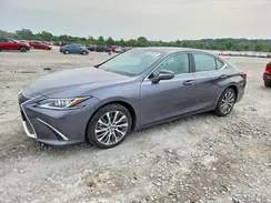 58ADZ1B10LU075687 2020 LEXUS ES