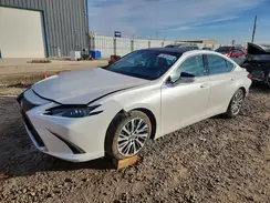 58ADZ1B10MU100816 2021 LEXUS ES