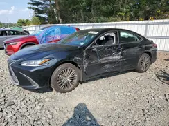58ADZ1B10NU135048 2022 LEXUS ES