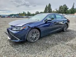 58ADZ1B10RU172347 2024 LEXUS ES