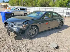 58ADZ1B10SU195505 2025 LEXUS ES