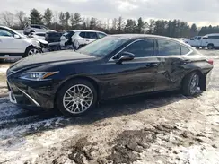 58ADZ1B13LU080222 2020 LEXUS ES
