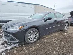 58ADZ1B13LU081922 2020 LEXUS ES