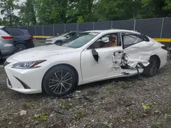 58ADZ1B13RU165389 2024 LEXUS ES