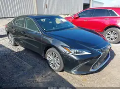 58ADZ1B14LU077037 2020 LEXUS ES