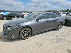 58ADZ1B14NU116096 2022 LEXUS ES