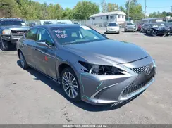 58ADZ1B15LU074289 2020 LEXUS ES