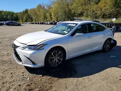 58ADZ1B15RU160601 2024 LEXUS ES